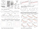 Human-in-the-Loop Bayesian Optimization