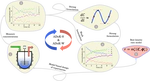 Statistical Learning